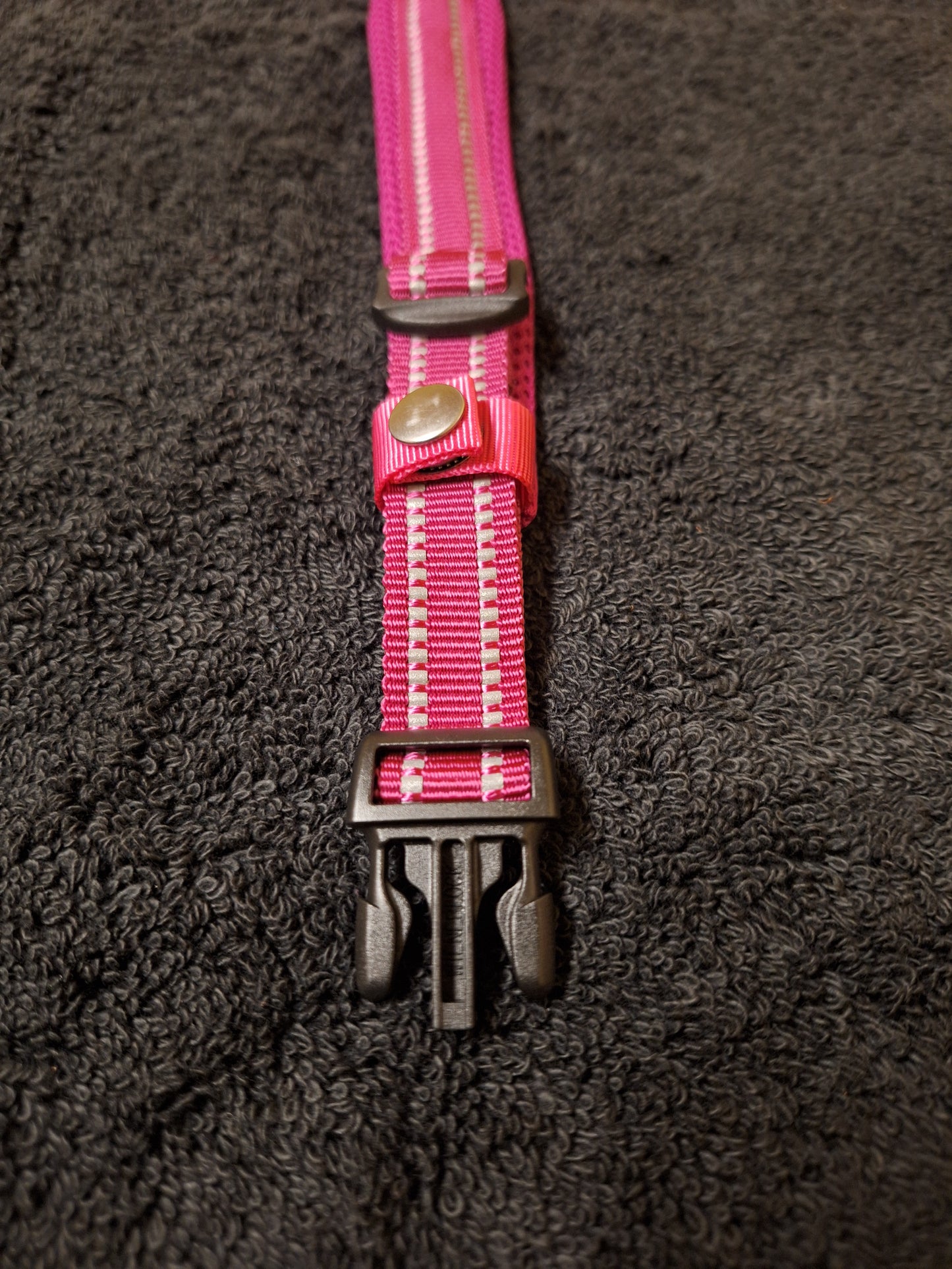 Nicky Walks Collars S Magenta