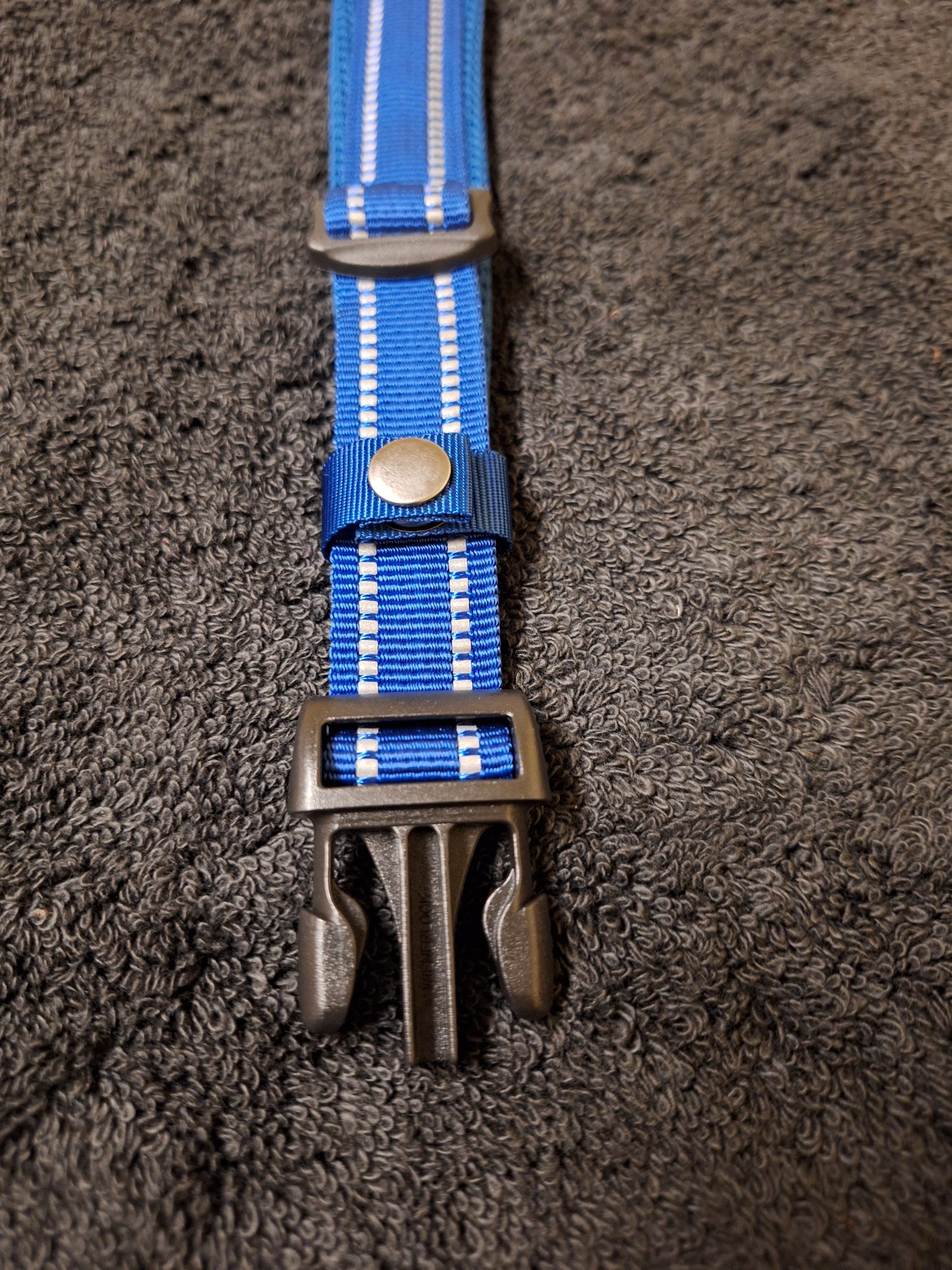 Nicky Walks Collars L Navy