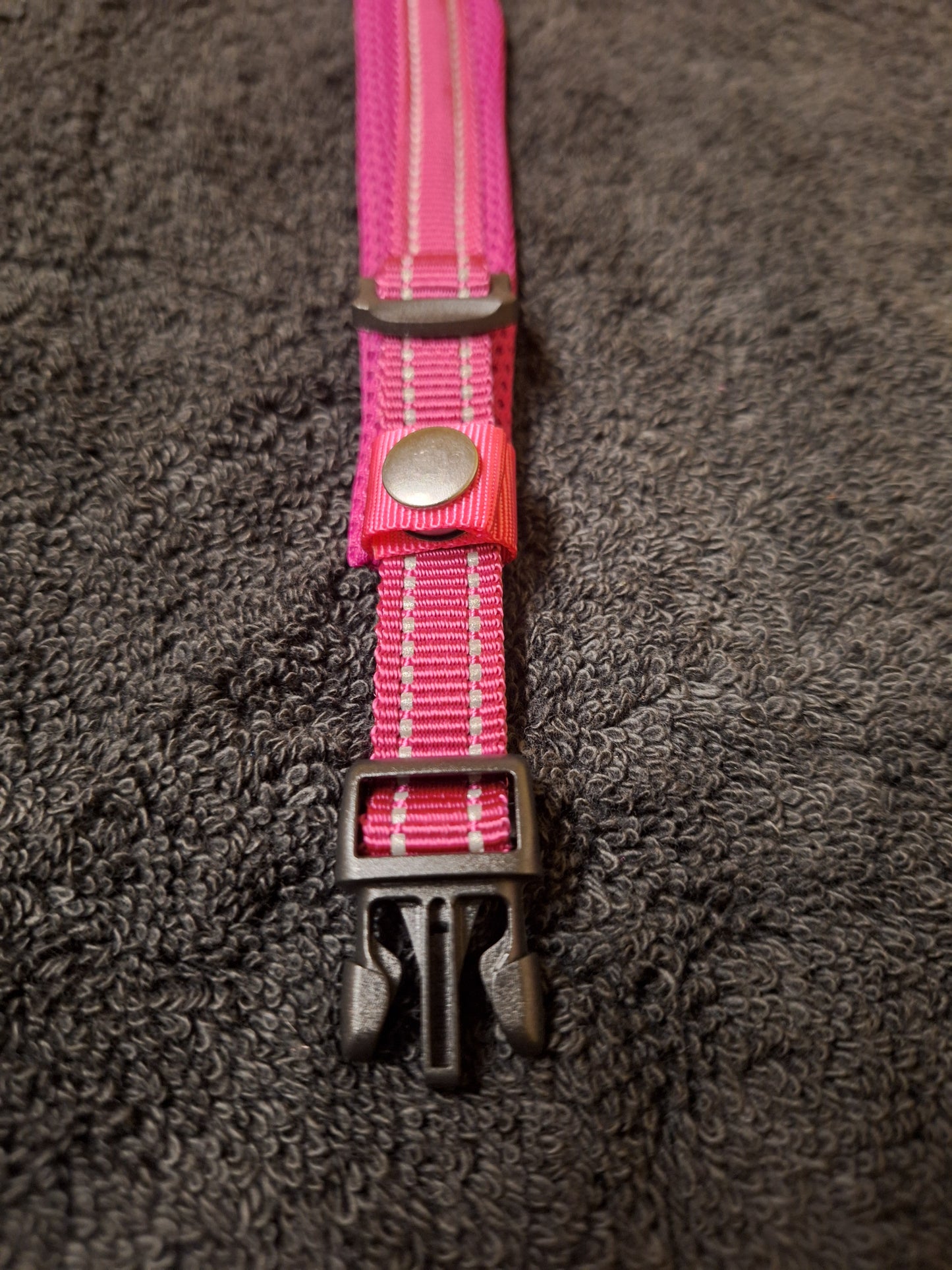 Nicky Walks Collars XS Magenta