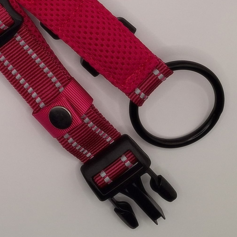 Nicky Walks Collars XXL Magenta