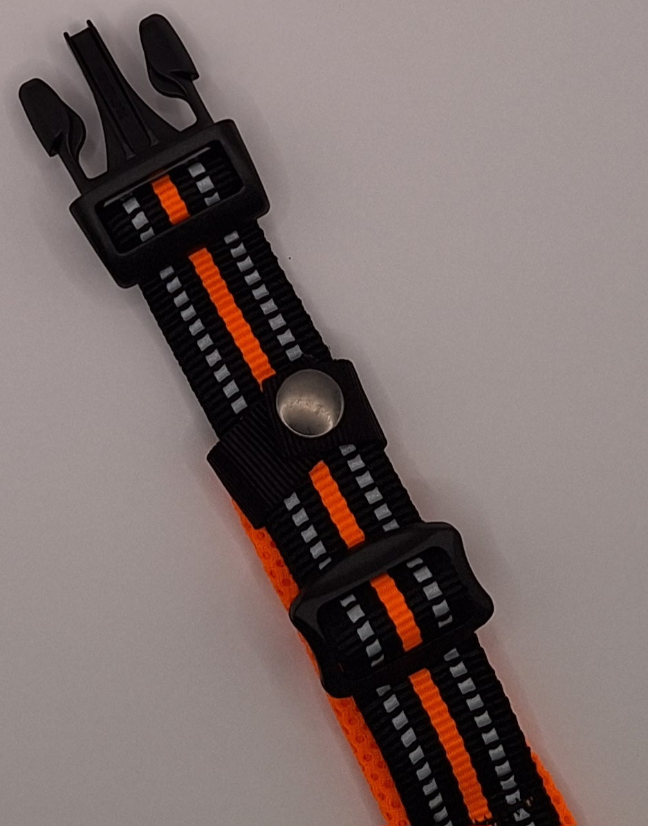 Nicky Walks Collars XL Orange