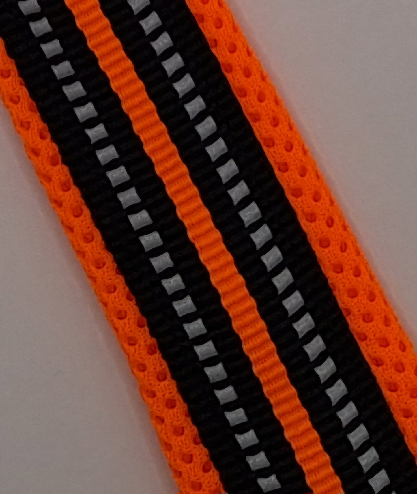 Nicky Walks Collars XL Orange